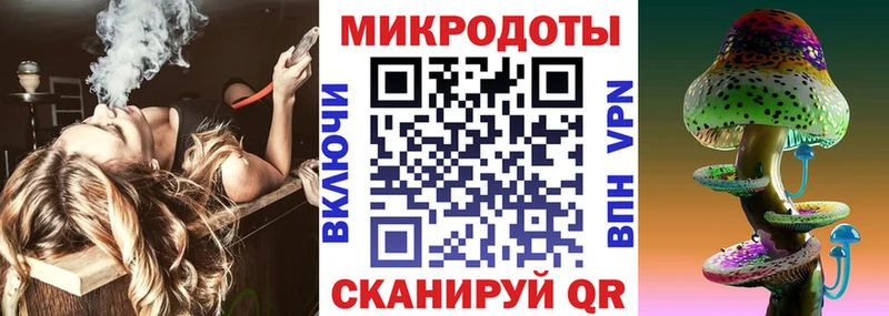 закладка  Нестеров  Галлюциногенные грибы Cubensis 
