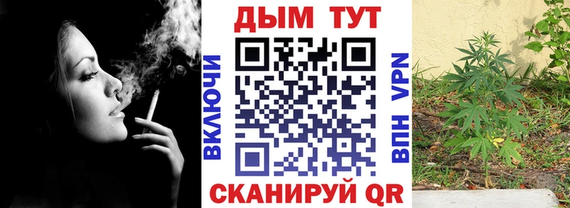 Бошки марихуана VHQ Нестеров